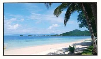 MONITOR HDMI, DP, VGA, AUDIO, USB, RJ45 LM49-S400 49 " - 4K UHD DAHUA