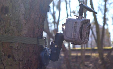 Uchwyt do fotopułapki TV-U6