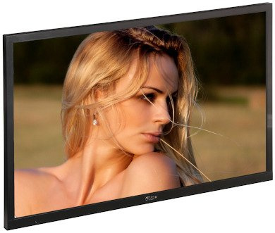 MONITOR VGA, 2xVIDEO, DVI-D, HDMI DHL43 43 " DAHUA