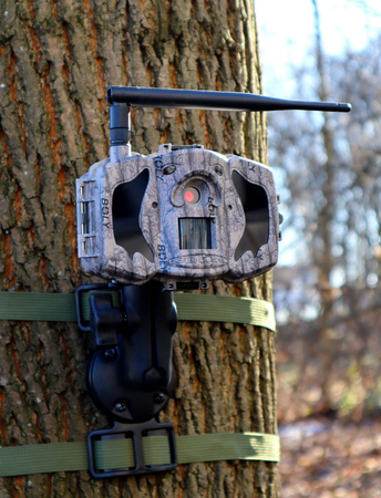 Uchwyt do fotopułapki TV-U6