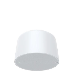 AXIS C1511 Network Pendant Speaker